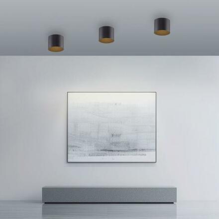 PAUL NEUHAUS LED stropní svítidlo PURE Point, černá, vnitřní, stmívatelné 2700K