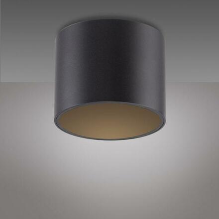 PAUL NEUHAUS LED stropní svítidlo PURE Point, černá, vnitřní, stmívatelné 2700K