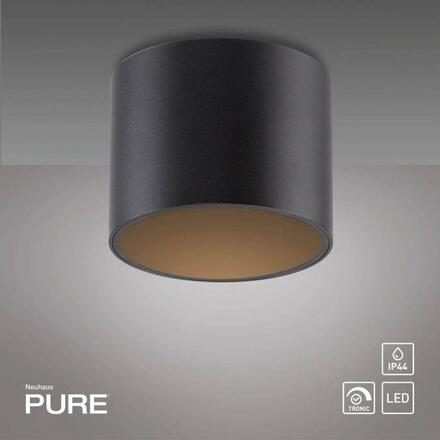PAUL NEUHAUS LED stropní svítidlo PURE Point, černá, vnitřní, stmívatelné 2700K