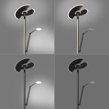 PAUL NEUHAUS PURE Mutil LED stojací lampa se čtecí lampou stmívatelné 2700-5000K antracit 678-13