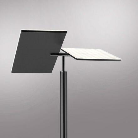 PAUL NEUHAUS LED stojací lampa antracit, nastavitelná, stmívatelná, čtecí rameno, CCT paměť 2700-5000K