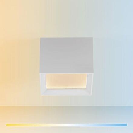 PAUL NEUHAUS PURE Manhattan, LED stropní svítidlo bílá, 2200-5000K