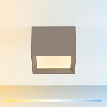 PAUL NEUHAUS PURE Manhattan, LED stropní svítidlo bronz 2200-5000K