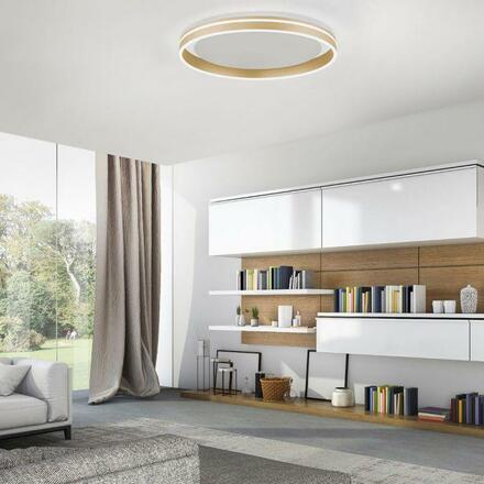 PAUL NEUHAUS, Q-VITO, LED stropní svítidlo, pr.59cm, Smart Home ZigBee 2700-5000K 8416-60