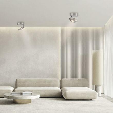PAUL NEUHAUS LED stropní svítidlo PURE Oculis, metalická šedá, stmívatelné, otočné a nastavitelné 2700K