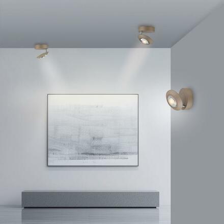 PAUL NEUHAUS LED stropní svítidlo PURE Oculis, bronzová, stmívatelné, otočné a nastavitelné 2700K
