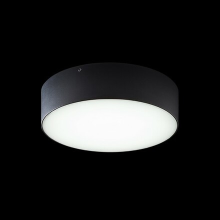 RENDL LARISA OUT 22 přisazená černá 230V LED 20W IP65 3000K/4000K/5700K R14126