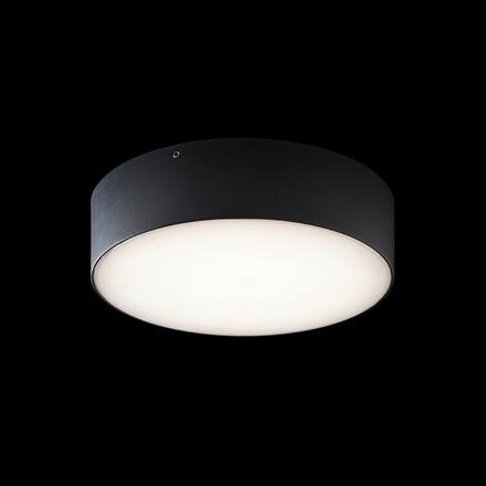 RENDL LARISA OUT 22 přisazená černá 230V LED 20W IP65 3000K/4000K/5700K R14126