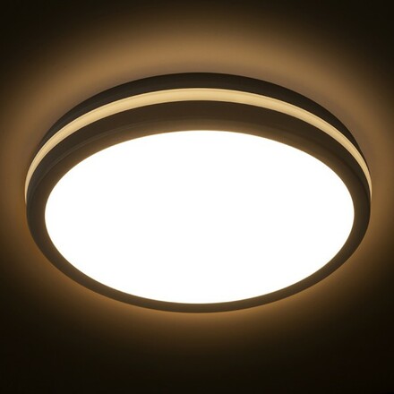 RENDL SONO 40 přisazené svítidlo černá plast 230V LED 40W IP65 3000K/4000K/6000K R14300