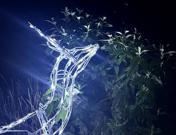 ACA Lighting sob 100 LED CW, 220-240V + 8 programů, IP44, 66x31x80cm, 5m bílý kabel X0810024241