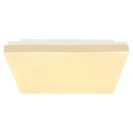 GLOBO RAINA 48296W Stropní svítidlo