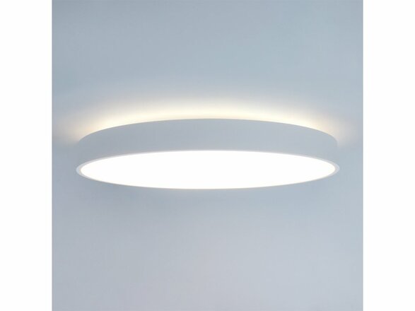 LED2 RINGO 60 P/N, W 54+6W 3000K DALI/PUSH