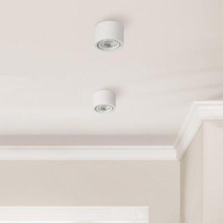 Stropní přisazené bodové svítidlo AZzardo Eco Alix New black/chrome AZ3494 ES111 1x35W IP20 12cm 230V černý chrom