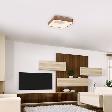 Rabalux stropní svítidlo Carmella LED 30W 5056