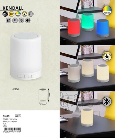 Rabalux SMART svítidlo s reproduktorem Kendall LED 2W RGB 4534
